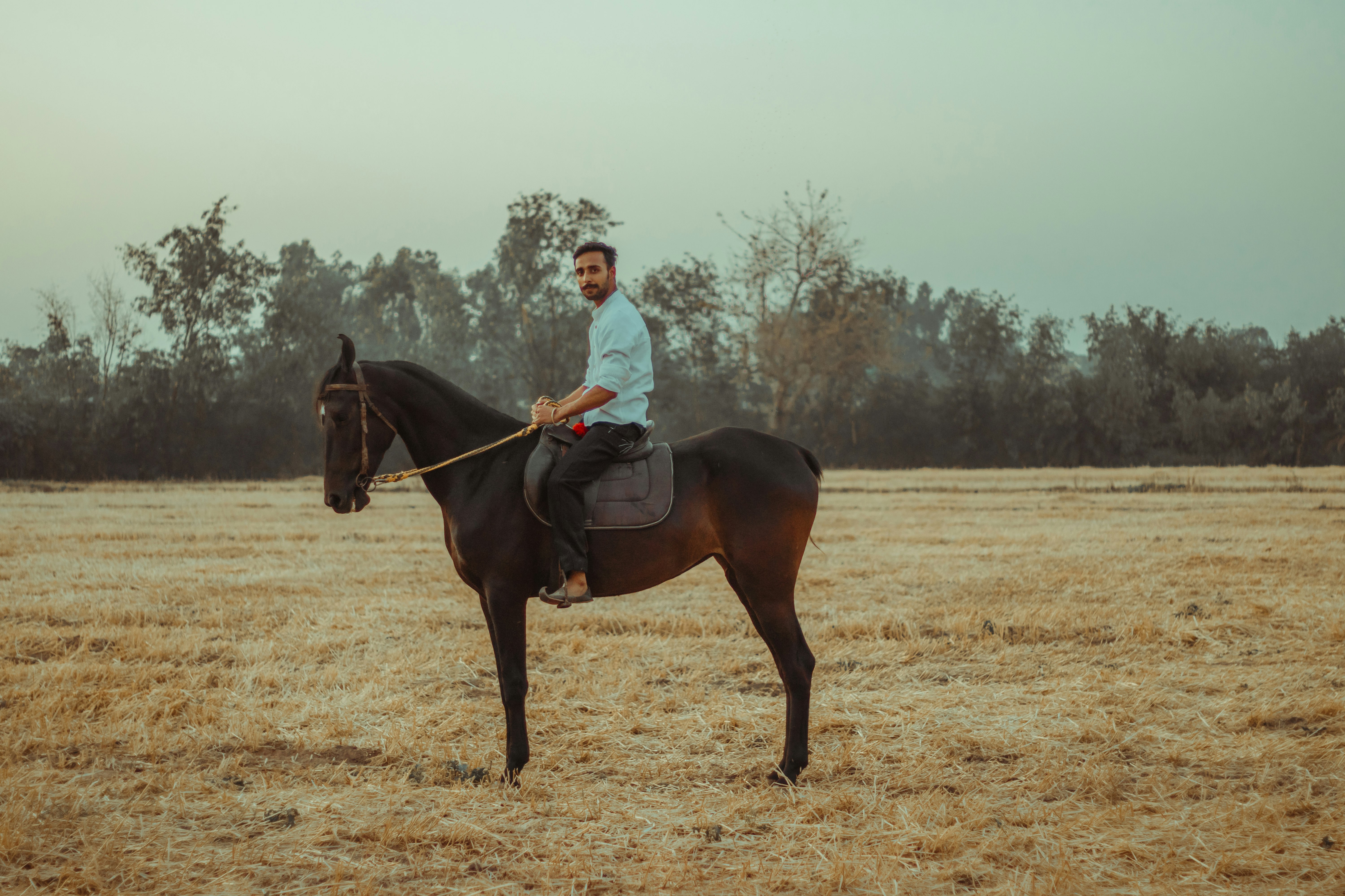 woman in white long sleeve shirt riding brown horse during daytime